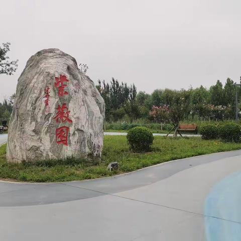 随手八景，大美枣强