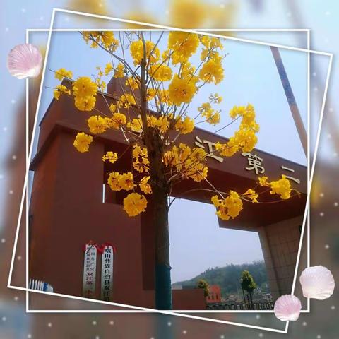 同课异构展风采 教研活动促成长——记双江第二小学2022年4月语数教研活动