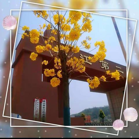 一年好景秋须记，正是教研进行时——峨山县双江第二小学二年级语文“同课异构”教研活动