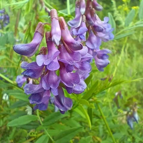 东北沿边骑游记录.D1-火车上