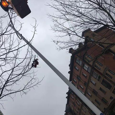 面对疫情，路灯人无畏坚守，迅速行动守护光明