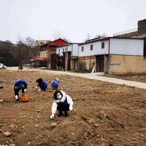 冬日暖阳下的一抹蓝