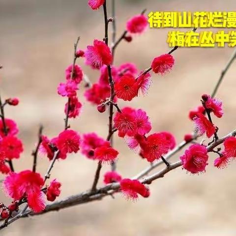 杨桂芝的美篇