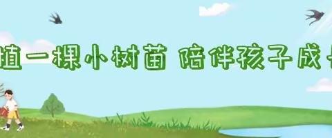 大手牵小手——我和小树一起成长