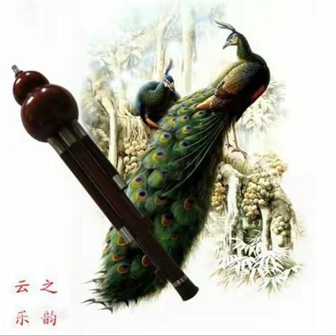 不急不躁的美篇