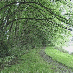 春和细雨