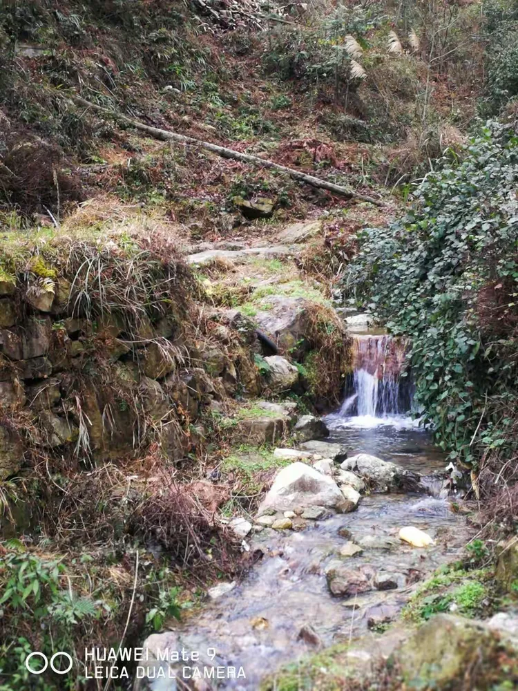 乌霞山图片