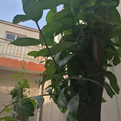 我们幸福的一家！