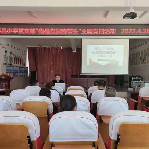 隆昌小学“我是党员我带头”主题党日活动纪实