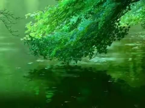 家访，心与心的交流，承载着太多的重托与希望