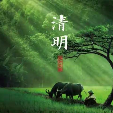 “梨花风起正清明，游子寻春半出城。日暮笙歌收拾去，万株杨柳属流莺。”――二年级五班清明踏青游记。