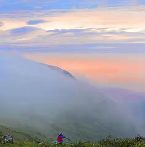 七 上 紫 柏 山