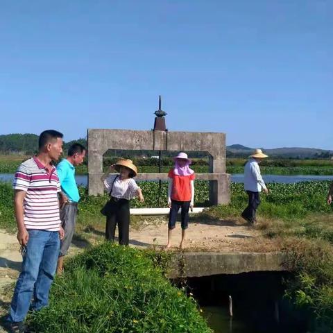 河头村委会驻村第一书记组织三委干部实地察看，开展抗旱工作