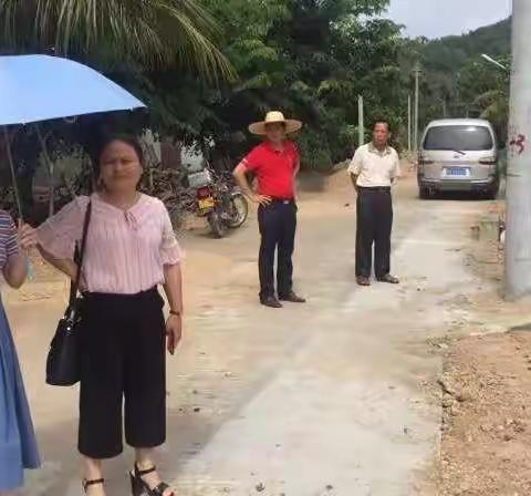龙滚镇林斌书记及苏小鸣委员亲临河头村指导美丽乡村建设