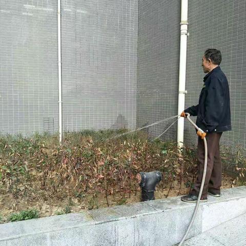赛高项目～环境事务部今天重点工作