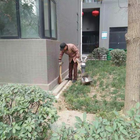 赛高项目～环境事务部今天重点工作