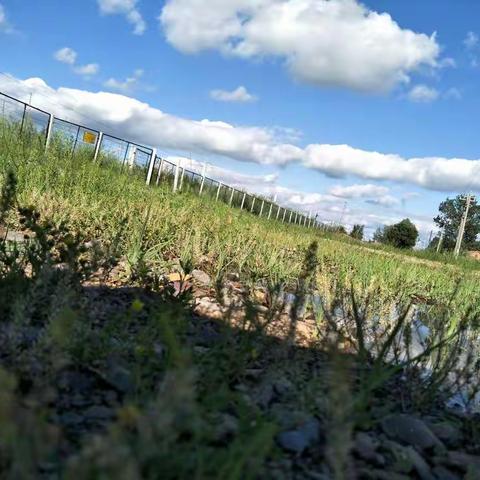 浓浓同学情---回乡纪念（2017年7-8）