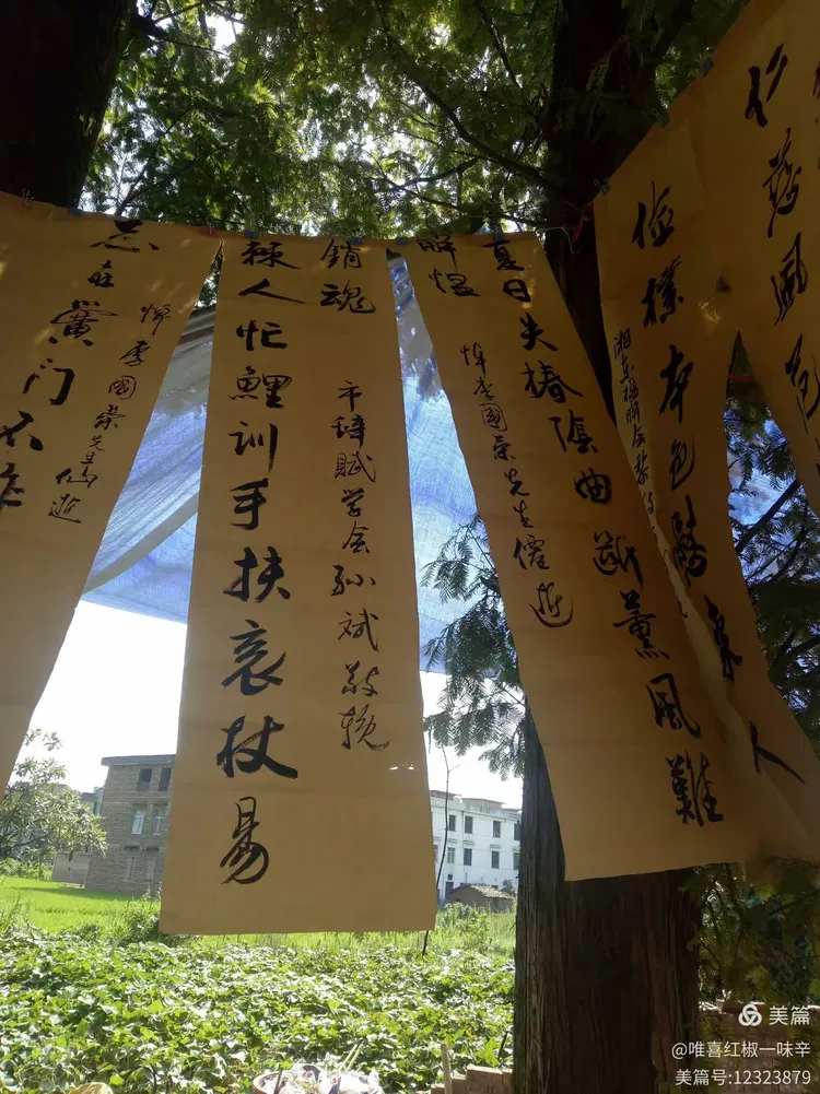 关于给父亲超度儿女不去好吗的信息