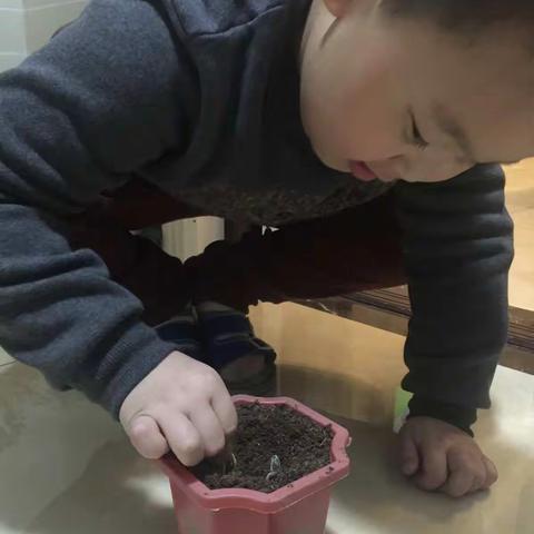 向日葵成长记——郭力行