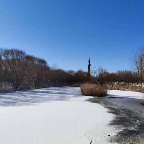 南湖，2020年的第一场雪