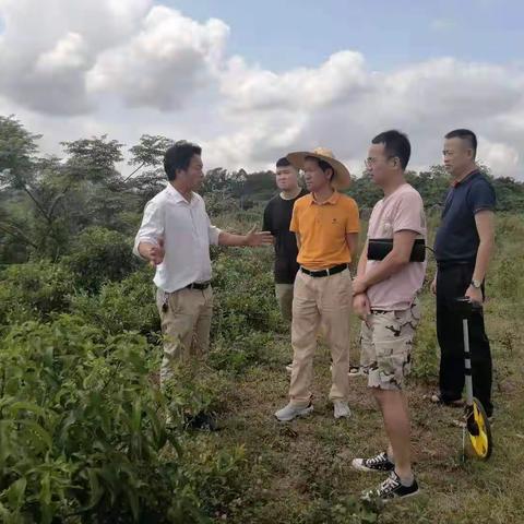 美兰区乡村振兴局开展“查堵点、破难题、促发展”活动——为大致坡镇昌福村委会解决美峰村灌溉难题