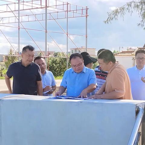 美兰区调研推进乡村振兴产业项目建设工作