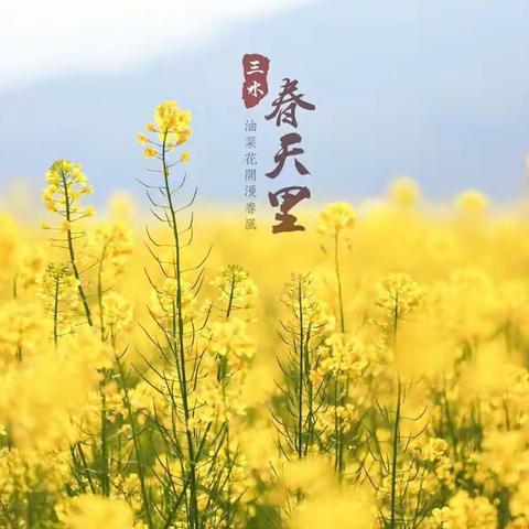 不负春光，不负你