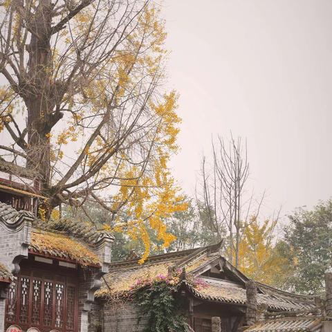川西古镇双子座：街子VS元通