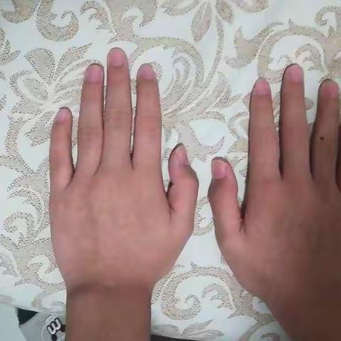 老师们的工作事无巨细