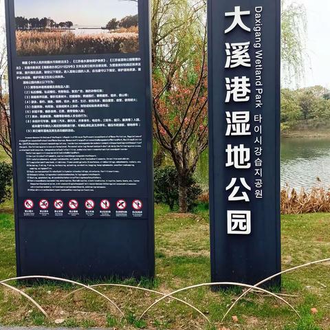 打卡无锡太湖大溪港省级湿地公园