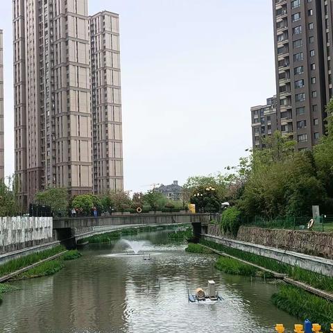 疫情肆虐时小区春景