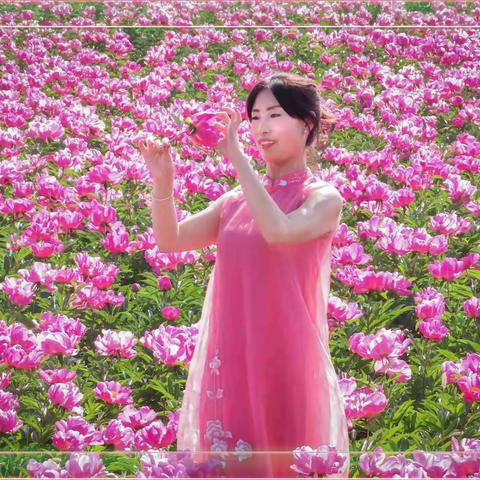 芍药花开醉人心