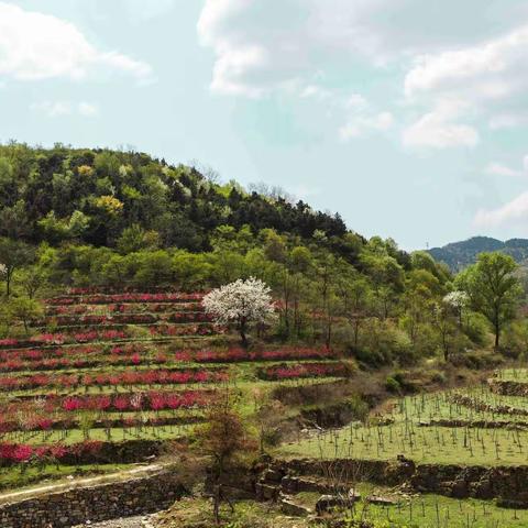 YQ过后风情依旧