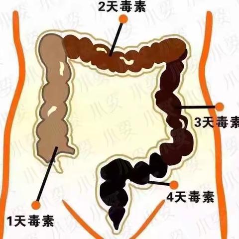 让你腰上没赘肉，皮肤更年轻的方法