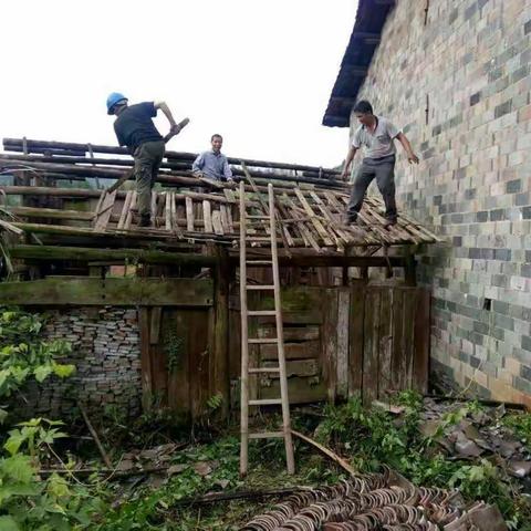 南城县农村环境整治工作简报                      6月9日