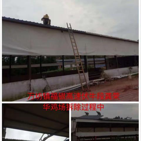 绿水青山带笑颜