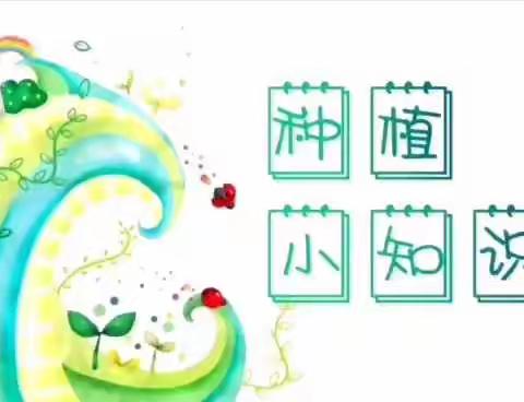 种植小知识