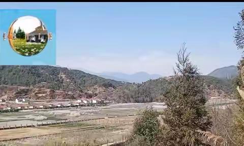 简报