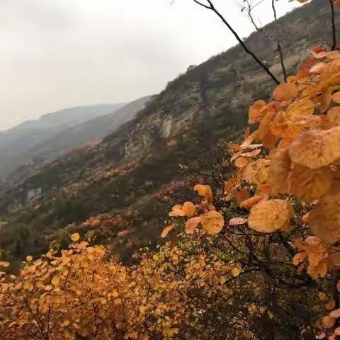 泗马沟 药王谷风景区赏秋