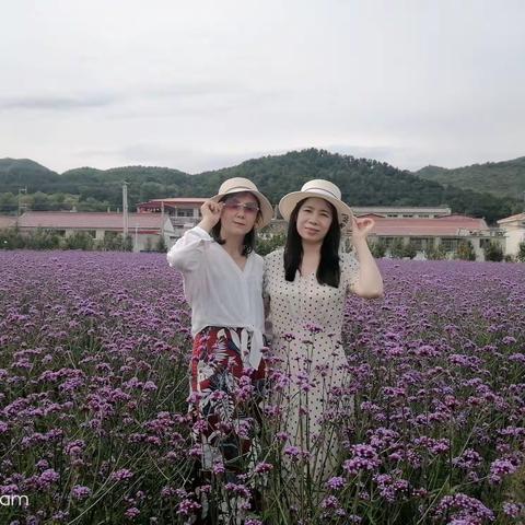 初秋时节四季花海赏花