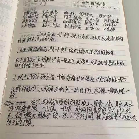 梁思莹同学放假第一周收获💐