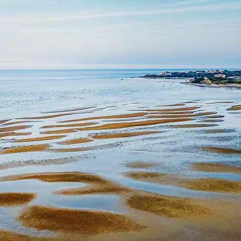 温馨家园（暮色中的湿地）