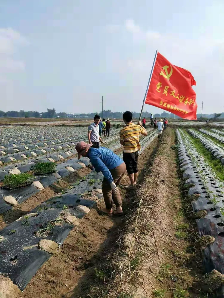 走进千家万户，助力农民致富