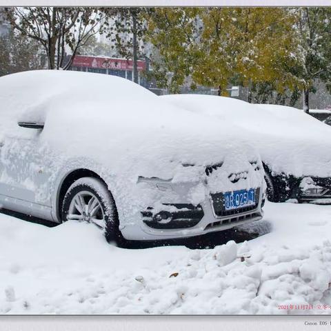 2021年11月7日（立冬）济南暴雪