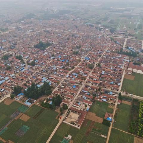 陈大下村“两委”向您汇报