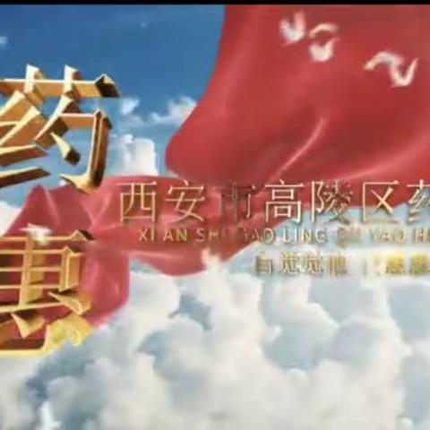 高陵区药惠中学“校园开放日”活动纪实