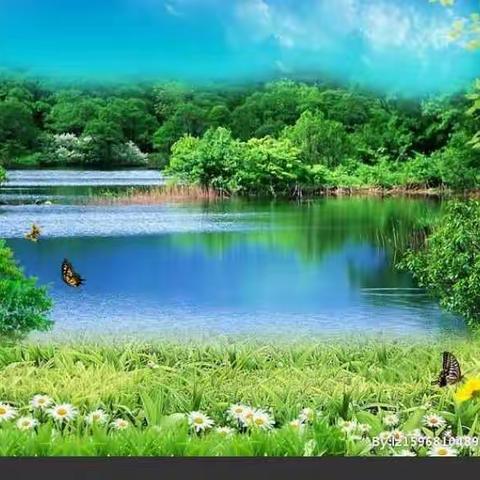 淡淡的音符的美篇