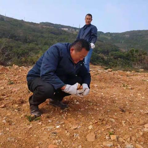 福平项目部组织员工清理复垦土地杂物