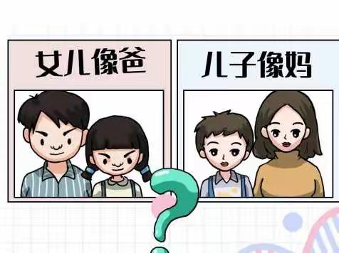 康济影像：孩子的智商与相貌取决于夫妻俩谁的基因？