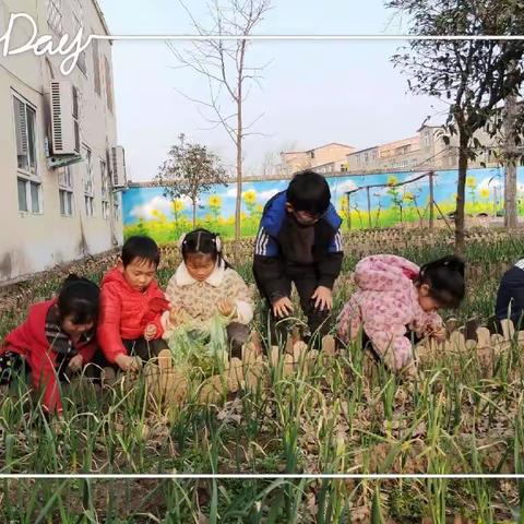 植绿护绿，拥抱春天——庙后幼儿园大班植树节活动